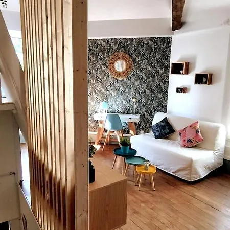 L'alisier Du Centre Apartment *