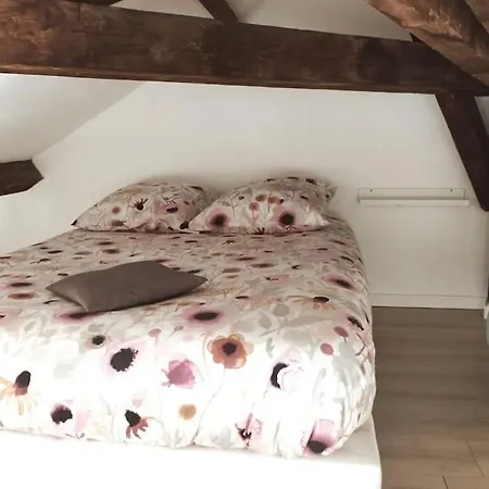 L'alisier Du Centre Lägenhet *