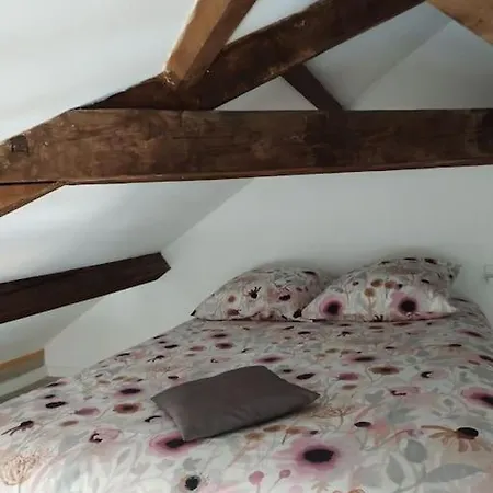 L'alisier Du Centre Dijon