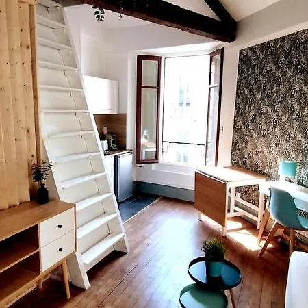 L'alisier Du Centre Apartment Dijon