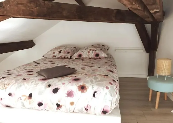 L'alisier Du Centre Lägenhet *