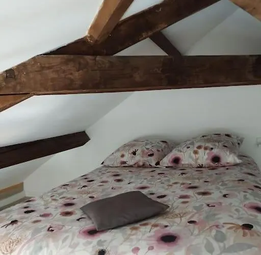 L'alisier Du Centre Dijon