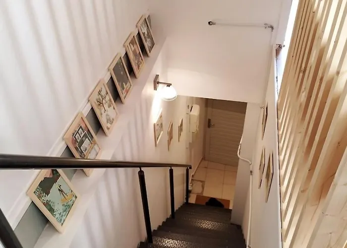 L'alisier Du Centre *