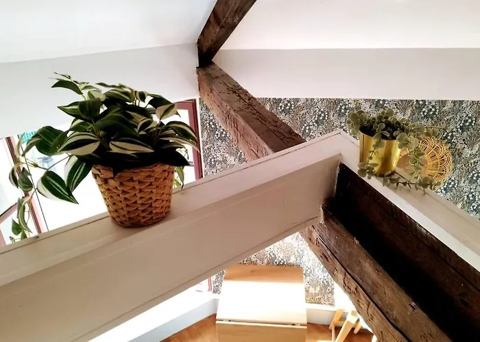 Lägenhet L'alisier Du Centre *