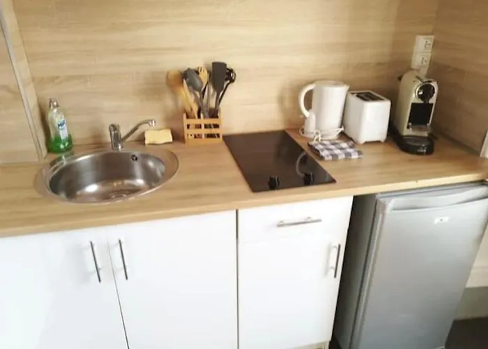 L'alisier Du Centre ディジョン